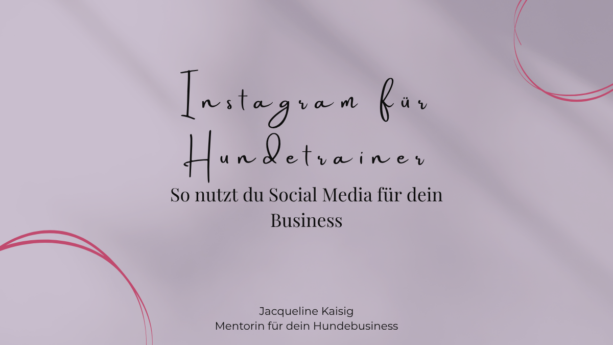 Instagram für Hundetrainer